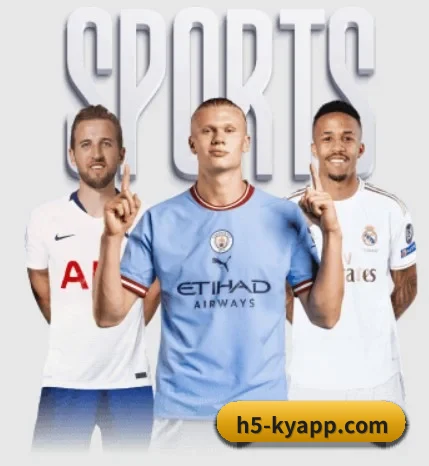 开云体育 APP - KAIYUN SPORTS
